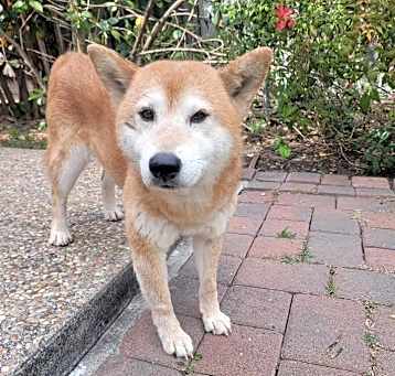Photo of Nana