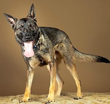 Photo of Kaiser