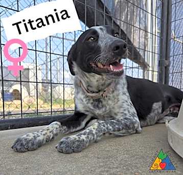 Photo of Titania