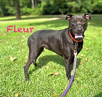 Photo of Fleur