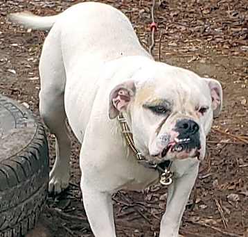 Photo of Harlo