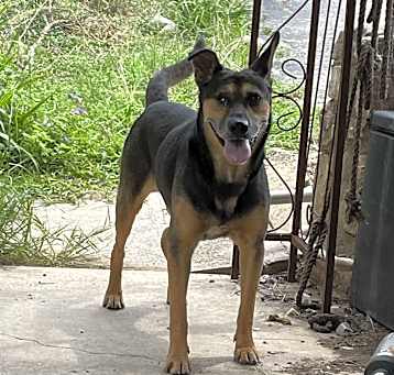 Photo of Happy