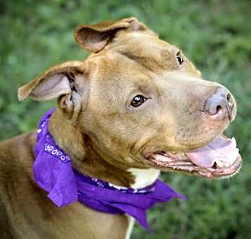 Photo of Simone