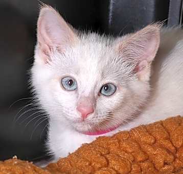 Photo of Tammy