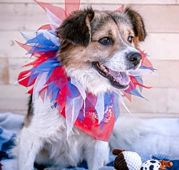 Photo of Mogley