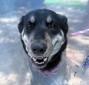 Photo of KITA