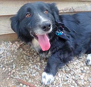 Photo of Tater
