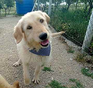 Photo of Fondue
