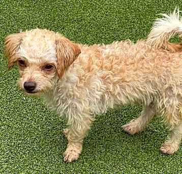 Photo of Bennie
