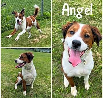 Photo of Angel