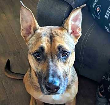 Photo of Winston