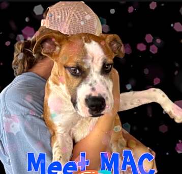 Photo of Mac