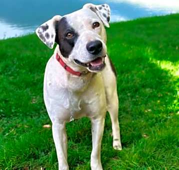 Photo of Max
