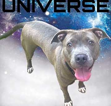 Photo of Universe