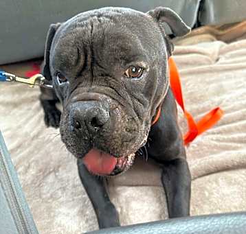 Photo of QUINCY