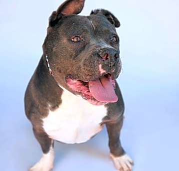 Photo of Clyde