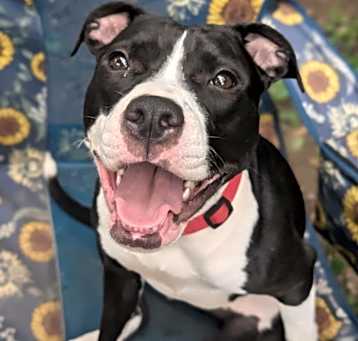 Photo of Lucy