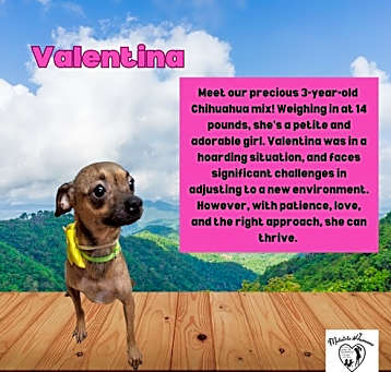 Photo of Valentina