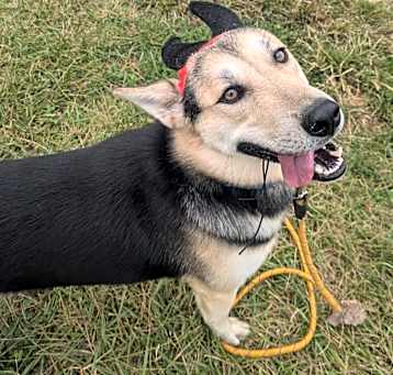 Photo of Max