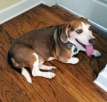Photo of Cinnamon