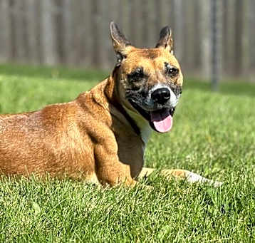 Photo of Nevaeh
