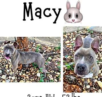 Photo of Macy
