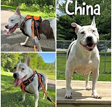 Photo of China