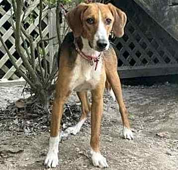 Photo of Shirley