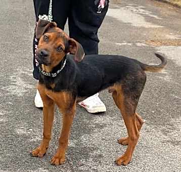 Photo of Urban