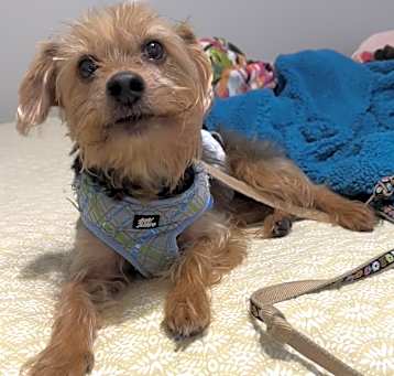 Photo of FRANKIE