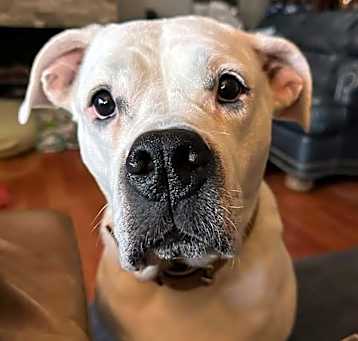 Photo of Winnie: New Tinder Profile