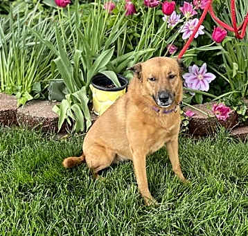 Photo of Seren Sadie