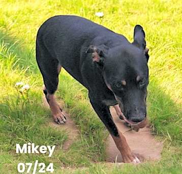 Photo of Mikey