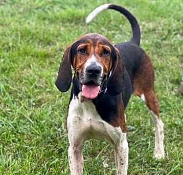 Photo of Luther