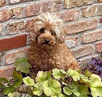 Photo of Sheila