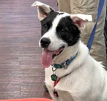 Photo of Wrigley