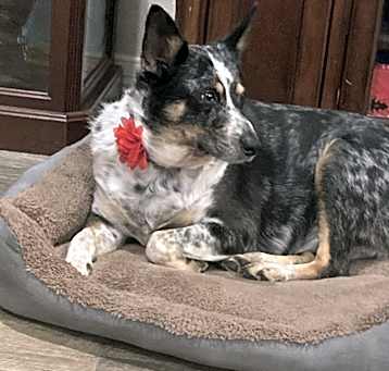 Photo of Winnie