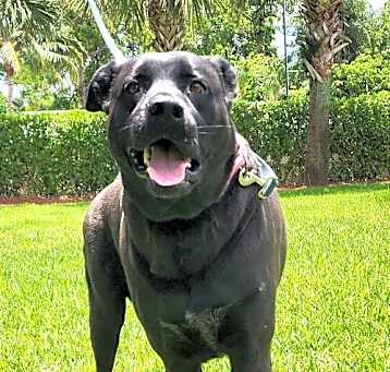 Photo of Coby