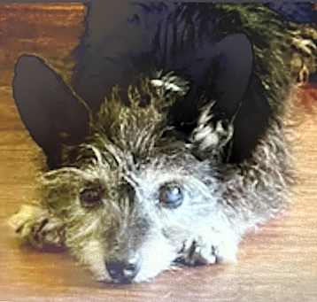 Photo of Edna