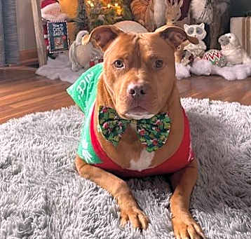 Photo of Finnigan