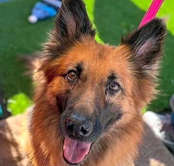 Photo of Gia
