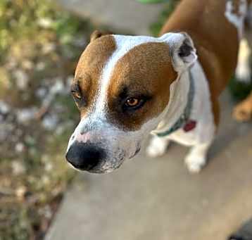 Photo of Laverne