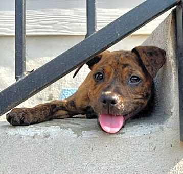 Photo of Rubbles