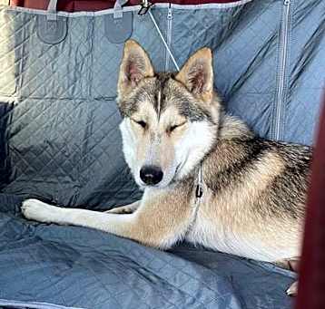 Photo of LYLA