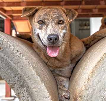 Photo of Meggie