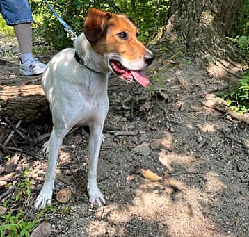 Photo of Archie