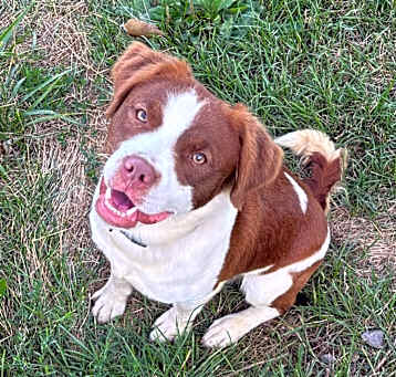 Photo of Wally