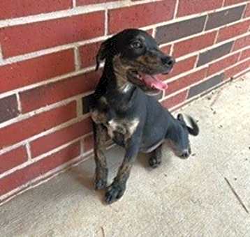 Photo of roxy