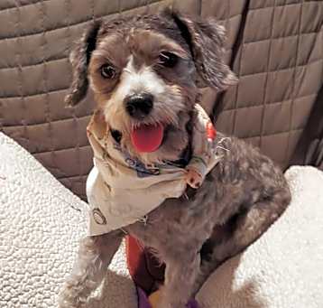 Photo of Gretel sb