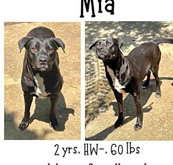 Photo of Mia